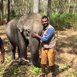 Aditya Raman - @adi_kabini - Instagram