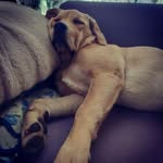 Aditya Rohan - @_adityarohan_ - Instagram