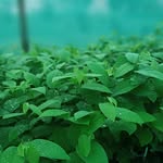 Sudhakar Shinde - @aditya_sudhakar_shinde - Instagram
