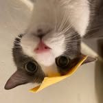 Aditya Tekale - @_aditya_tekale - Instagram