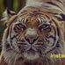 Aditya Waghmare - Facebook