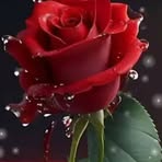 Adnan Ansari - Facebook
