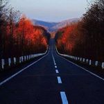 Adnan Issa - @adnan.issa.86 - Instagram