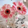 Adnan Muhammad - @adnanmuhammad553 - TikTok