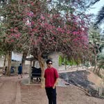Adnan Rafi - @adnanrafi798 - Instagram