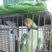 Adnan Rouf - Facebook