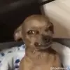 Adolfo - @adolfo.gabriel.ag - TikTok