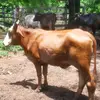 Adolfo Lemus - @user03893373 - TikTok