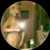 Adolfo Ortega - @adolfo.ortega239 - TikTok