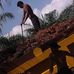 Adolfo Osorio - Facebook