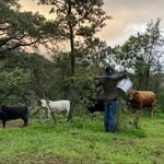 Adolfo Padron - @adolfo.padron.3388 - Instagram