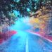 Adolfo Romo - Facebook