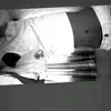 ADOLFO_GONZALES - @adolfosaavedra17 - TikTok