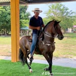 Adolfo Saavedra - @adolfojineteprofesional - Instagram