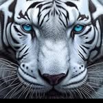 Adolfo Saavedra - @adolfosaavedra66 - Instagram