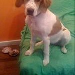 Adolfo Serrano Costa - @adolfoserranocosta - Instagram
