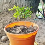 Adolfo Suárez Bolzon - @adolfo.suarezbolzon - Instagram