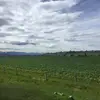 adolfozarco166 - @adolfozarco166 - TikTok
