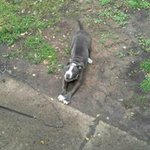 Adolph Brown - @brownadolph - Instagram