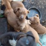 Adolph Bryan - @adolph.bryan.1 - Instagram