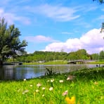 Adolph Field - Facebook