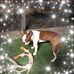 Adolph Jones - Facebook