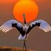 Adolph Morgan - Facebook