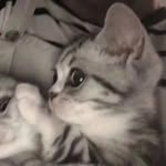 Adolph Ortiz I - @adolphortizi - Instagram
