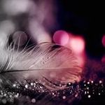 Paul Adolph - @pauladolph4647 - Instagram