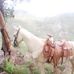 Adolfo Ramirez - Facebook