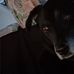 Adolph Reyes - Facebook
