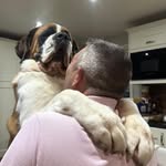 Terry Adolpho - @terryadolpho - Instagram