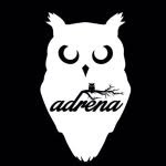 Adrena Longboard Cuiabá - MT - @adrenalongboard - Instagram