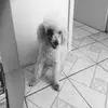 Adri Johnson  - @adriajohn - TikTok