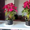Adria Suarez - @adria.suarez1 - TikTok