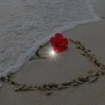 Adriana Thomas - Facebook