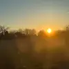 Adrianna - @adriannaa.wilsonn - TikTok