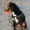 Adrian Abbott - @adrianabbott53 - TikTok