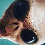 The one and only V4 void - @adrian_aber_nathy - Instagram