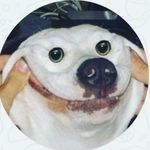 Adrian Abraham - @adrianabraham294 - Instagram