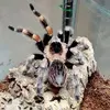 Adrian Ace - @adrian.ace76 - TikTok