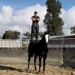 Adrian Aceves - @adrian_aceves - Instagram