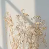 Adriana Adamson - @adriana.adamson - TikTok