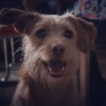 Adrian Addy - @adrianstagebuch - Instagram