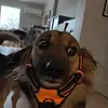 Adrian Adler - @adrian.adler0 - TikTok