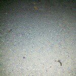 adrian Advincula - @adrian_advincula - Instagram