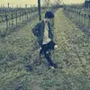 Adrian  - @adrianakhavan - TikTok