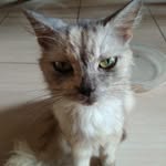 adrian - @adrian_alay - Instagram