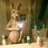 Adrian Albores - @adrian.albores - TikTok