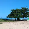 AdrianoAlbuquerque_A - @adrianoalbuquerque_a - TikTok